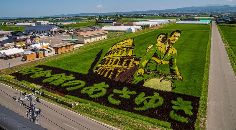 Nghệ thuật vẽ tranh trên đồng ruộng độc đáo của Nhật Bản